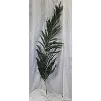 PLA064B Giant Palm Branch 2
