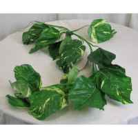 PLA062 Pothos Leaf Garland 1