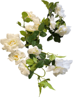 PLA063 Rose Garland (Cream White)