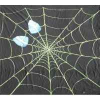 +SUP004 Spiderman Web on Backdrop