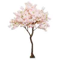 Pink cherry standard tree web