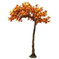 PLA641 Autumn Half Canopy Tree