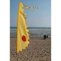 +FES300 3m Yellow Festival Flag in situ